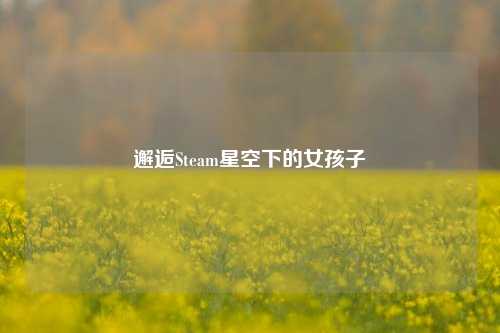 邂逅Steam星空下的女孩子