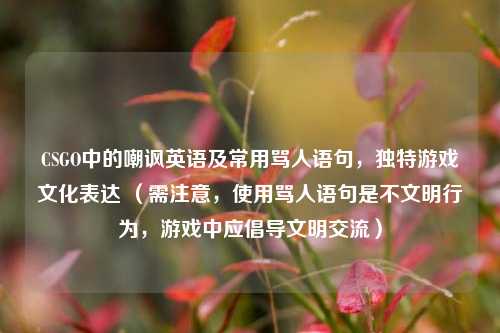CSGO中的嘲讽英语及常用骂人语句,独特游戏文化表达 (需注意,使用骂人语句是不文明行为,游戏中应倡导文明交流)