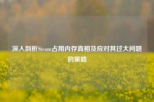 深入剖析Steam占用内存真相及应对其过大问题的策略