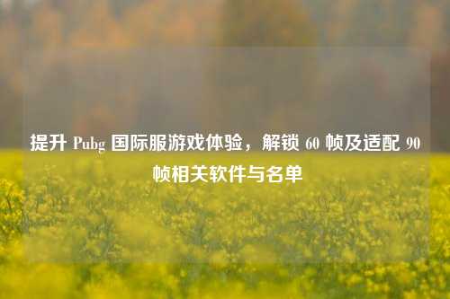 提升 Pubg 国际服游戏体验，解锁 60 帧及适配 90 帧相关软件与名单