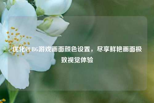 优化PUBG游戏画面颜色设置，尽享鲜艳画面极致视觉体验