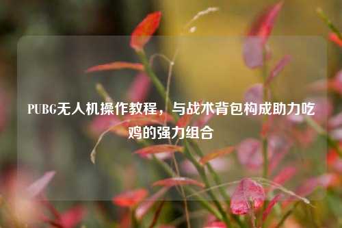 PUBG无人机操作教程,与战术背包构成助力吃鸡的强力组合