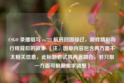 CSGO 录播组与 ca722 航班回国经过，游戏精彩与行程背后的故事 （注，因原内容包含两方面不太相关信息，此标题尝试将两者融合，若只取一方面可根据需求调整）