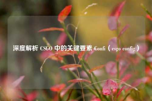 深度解析 CSGO 中的关键要素 Confi（csgo config）