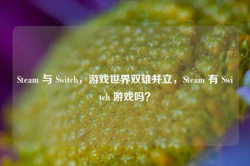 Steam 与 Switch,游戏世界双雄并立,Steam 有 Switch 游戏吗?