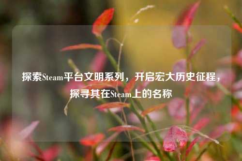 探索Steam平台文明系列,开启宏大历史征程,探寻其在Steam上的名称