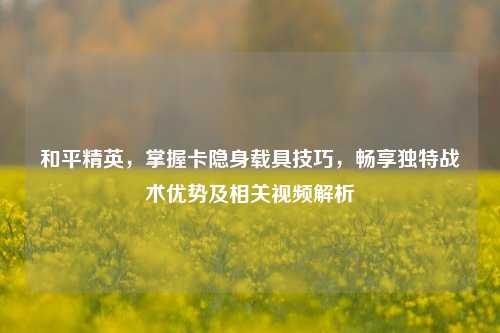 和平精英，掌握卡隐身载具技巧，畅享独特战术优势及相关视频解析