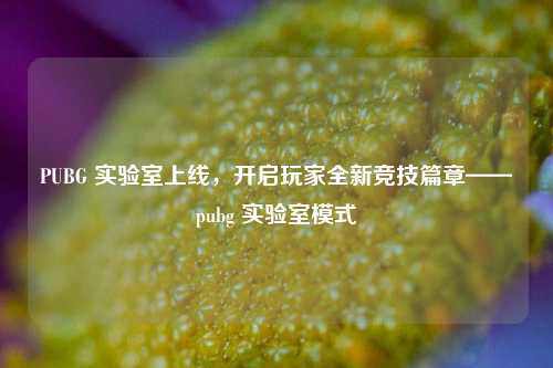 PUBG 实验室上线,开启玩家全新竞技篇章——pubg 实验室模式