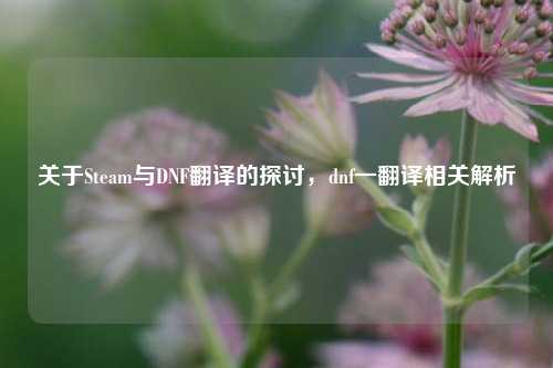 关于Steam与DNF翻译的探讨,dnf一翻译相关解析