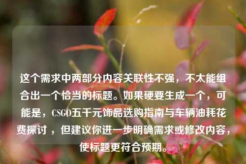 这个需求中两部分内容关联性不强，不太能组合出一个恰当的标题。如果硬要生成一个，可能是，CSGO五千元饰品选购指南与车辆油耗花费探讨 ，但建议你进一步明确需求或修改内容，使标题更符合预期。