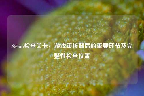 Steam检查关卡，游戏审核背后的重要环节及完整性检查位置