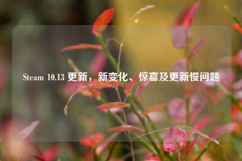 Steam 10.13 更新，新变化、惊喜及更新慢问题