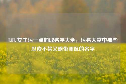 LOL 女生污一点的取名字大全，污名大赏中那些忍俊不禁又略带调侃的名字