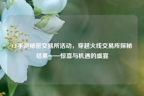 CF手游秘密交易所活动，穿越火线交易所探秘结果——惊喜与机遇的盛宴