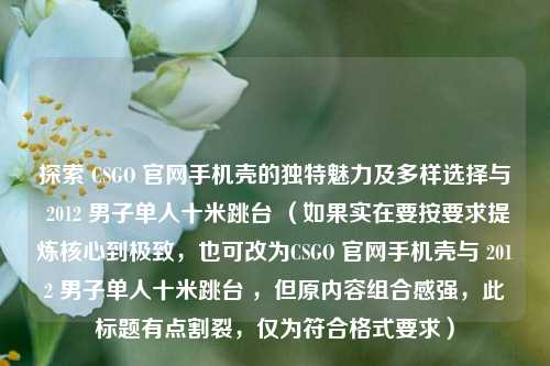 探索 CSGO 官网手机壳的独特魅力及多样选择与 2012 男子单人十米跳台 （如果实在要按要求提炼核心到极致，也可改为CSGO 官网手机壳与 2012 男子单人十米跳台 ，但原内容组合感强，此标题有点割裂，仅为符合格式要求）