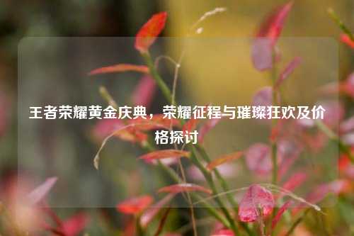 王者荣耀黄金庆典，荣耀征程与璀璨狂欢及价格探讨