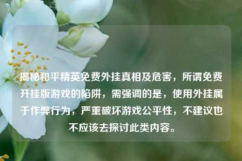揭秘和平精英免费外挂真相及危害,所谓免费开挂版游戏的陷阱,需强调的是,使用外挂属于作弊行为,严重破坏游戏公平性,不建议也不应该去探讨此类内容。