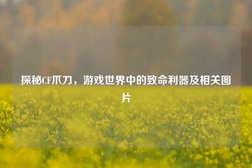 探秘CF爪刀,游戏世界中的致命利器及相关图片