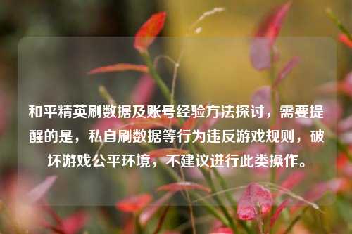 和平精英刷数据及账号经验方法探讨，需要提醒的是，私自刷数据等行为违反游戏规则，破坏游戏公平环境，不建议进行此类操作。