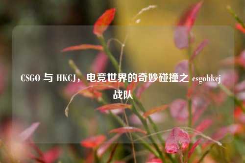 CSGO 与 HKCJ，电竞世界的奇妙碰撞之 csgohkcj 战队