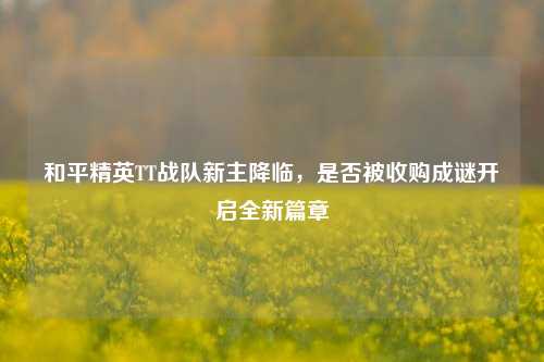 和平精英TT战队新主降临,是否被收购成谜开启全新篇章