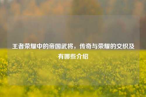 王者荣耀中的帝国武将，传奇与荣耀的交织及有哪些介绍