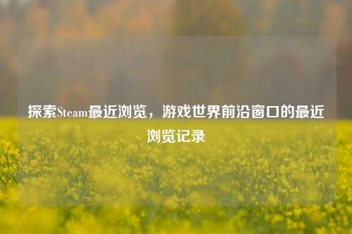 探索Steam最近浏览,游戏世界前沿窗口的最近浏览记录