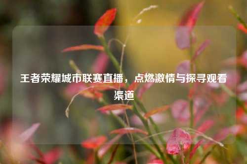 王者荣耀城市联赛直播,点燃激情与探寻观看渠道