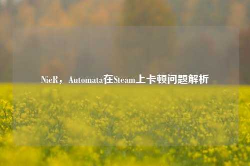 NieR，Automata在Steam上卡顿问题解析