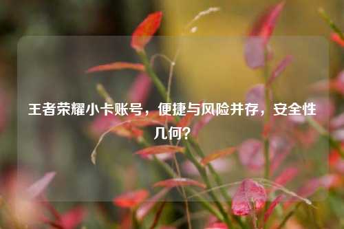 王者荣耀小卡账号,便捷与风险并存,安全性几何?