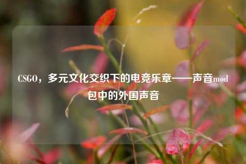 CSGO,多元文化交织下的电竞乐章——声音mod包中的外国声音
