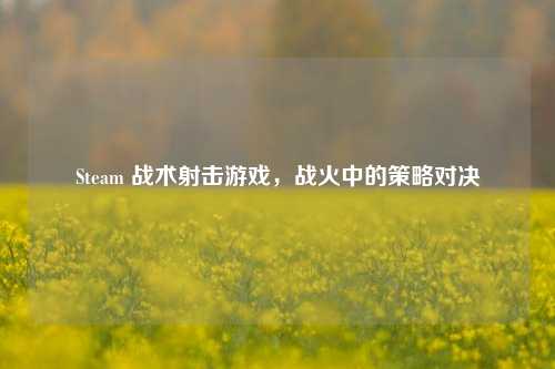 Steam 战术射击游戏,战火中的策略对决