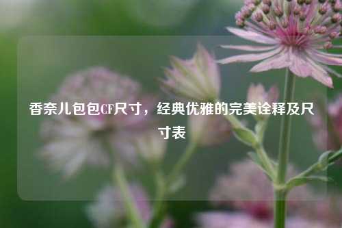 香奈儿包包CF尺寸，经典优雅的完美诠释及尺寸表