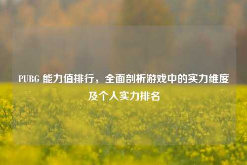PUBG 能力值排行,全面剖析游戏中的实力维度及个人实力排名