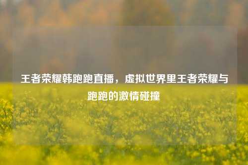 王者荣耀韩跑跑直播,虚拟世界里王者荣耀与跑跑的激情碰撞