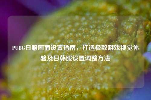 PUBG日服画面设置指南,打造极致游戏视觉体验及日韩服设置调整方法