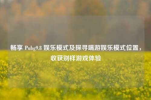 畅享 Pubg9.8 娱乐模式及探寻端游娱乐模式位置，收获别样游戏体验