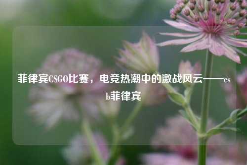 菲律宾CSGO比赛,电竞热潮中的激战风云——csb菲律宾