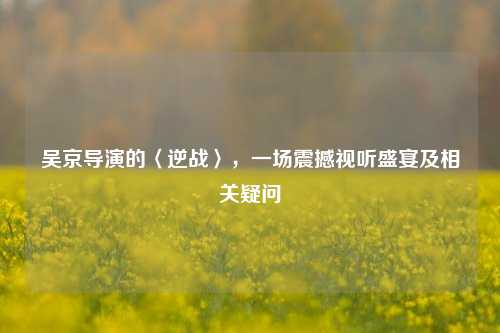 吴京导演的〈逆战〉，一场震撼视听盛宴及相关疑问