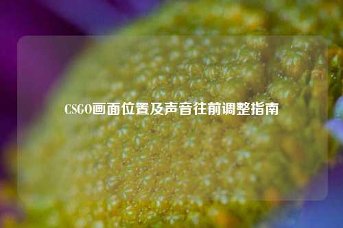 CSGO画面位置及声音往前调整指南