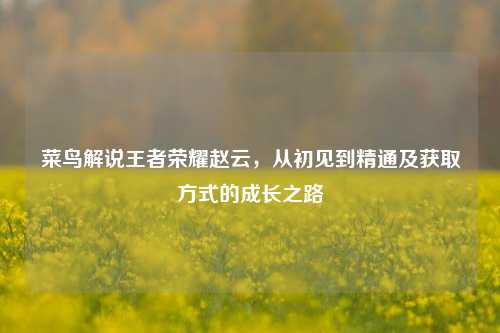 菜鸟解说王者荣耀赵云，从初见到精通及获取方式的成长之路