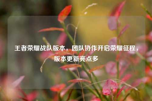 王者荣耀战队版本,团队协作开启荣耀征程,版本更新亮点多