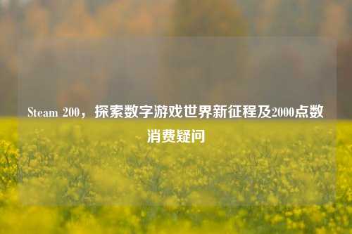 Steam 200,探索数字游戏世界新征程及2000点数消费疑问