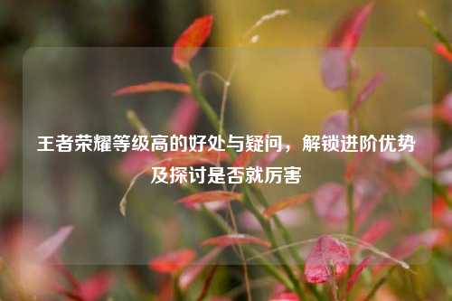 王者荣耀等级高的好处与疑问,解锁进阶优势及探讨是否就厉害