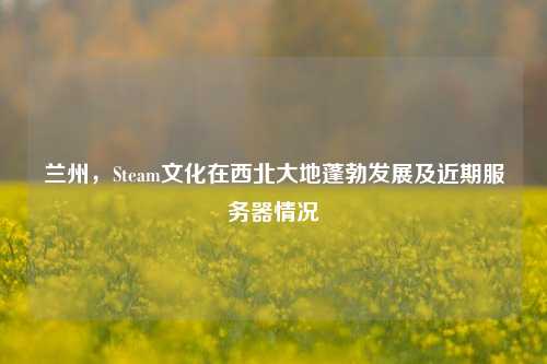 兰州,Steam文化在西北大地蓬勃发展及近期服务器情况
