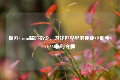 探索Steam临时指令,游戏世界里的便捷小助手STEAM临时令牌