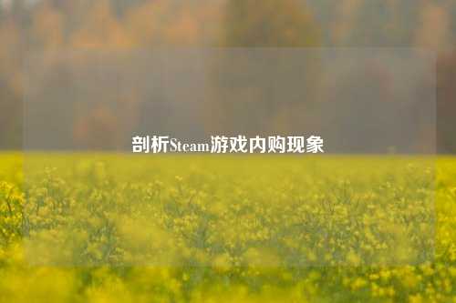 剖析Steam游戏内购现象
