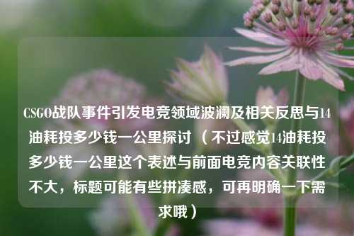 CSGO战队事件引发电竞领域波澜及相关反思与14油耗投多少钱一公里探讨 (不过感觉14油耗投多少钱一公里这个表述与前面电竞内容关联性不大,标题可能有些拼凑感,可再明确一下需求哦)