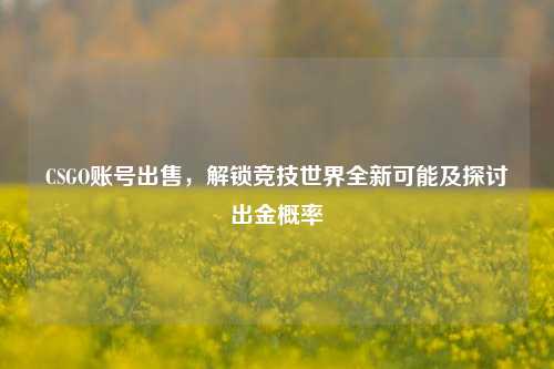 CSGO账号出售，解锁竞技世界全新可能及探讨出金概率