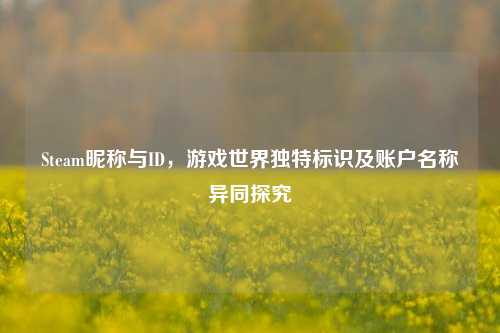 Steam昵称与ID,游戏世界独特标识及账户名称异同探究
